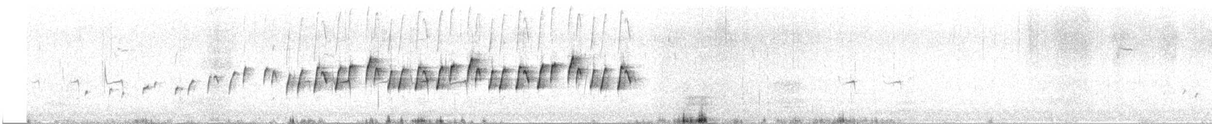 ケープオウギセッカ - ML647550982