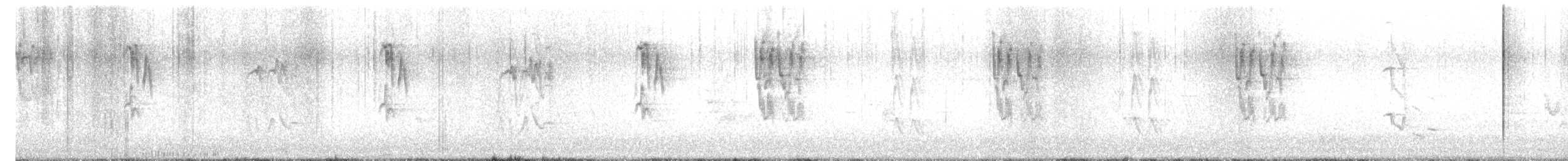 コマツグミ - ML647551017