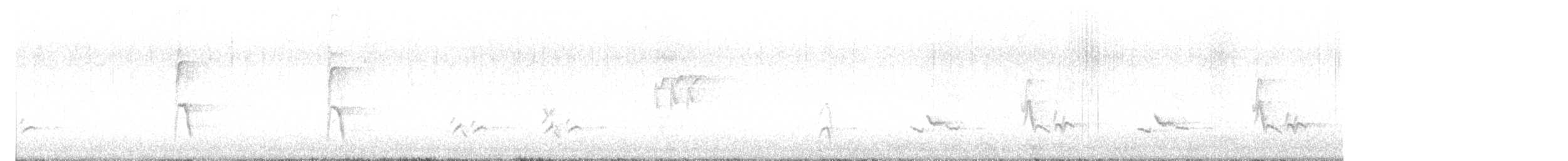 American Robin - ML647551043