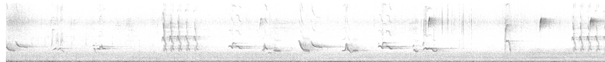 American Robin - ML647551049