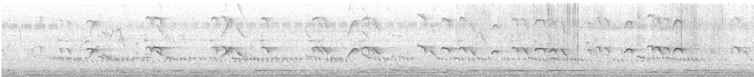 Yellow-billed Babbler - ML647551151