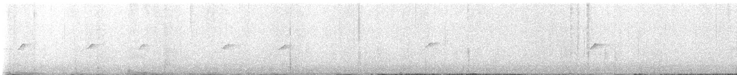 Codazzurro - ML647551185