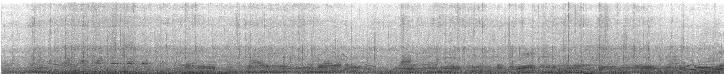 Imperial Cormorant - ML647551424