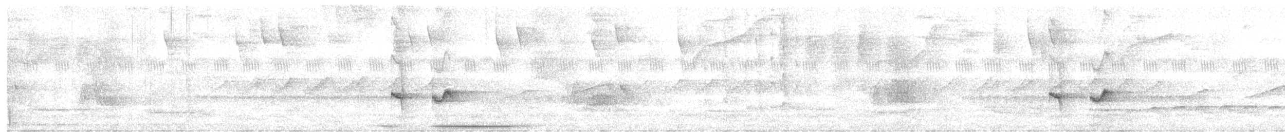 White-tipped Dove - ML647551837