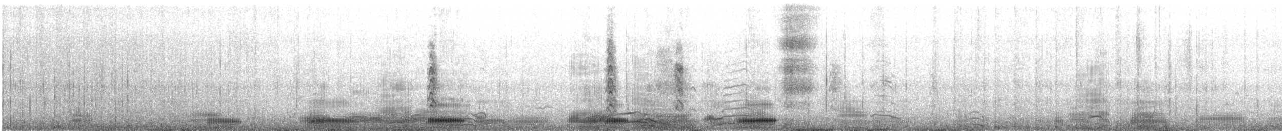 kormorán modrooký - ML647552230