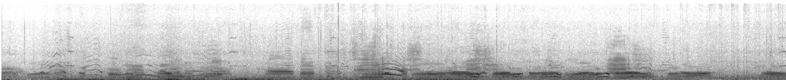 kormorán modrooký - ML647552231