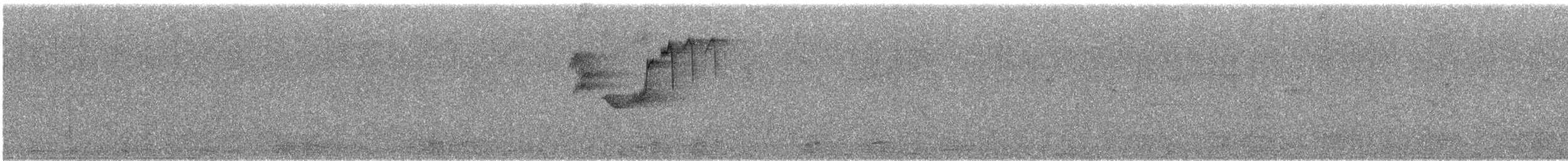 Spotted Forktail - ML647552607