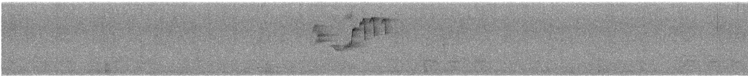 Spotted Forktail - ML647552608