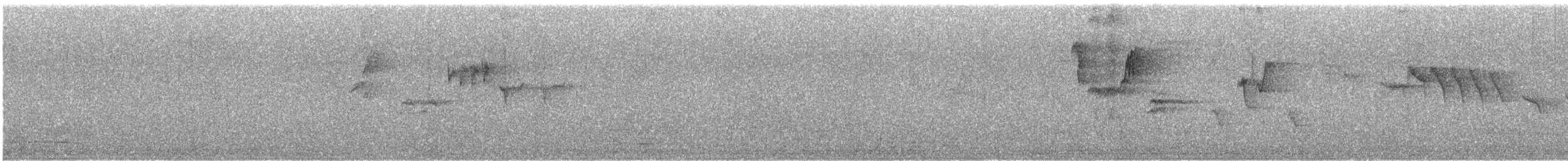 Spotted Forktail - ML647552609