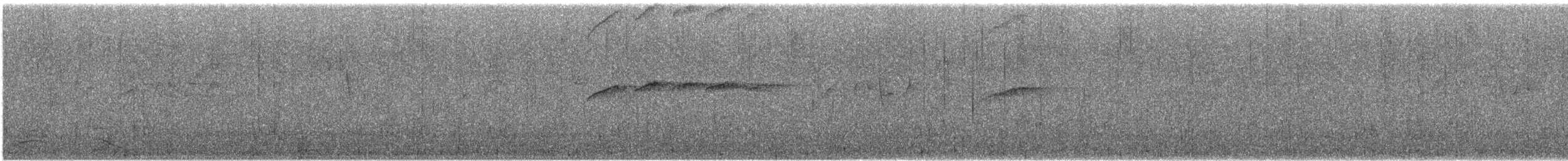 Wasserrotschwanz - ML647552739