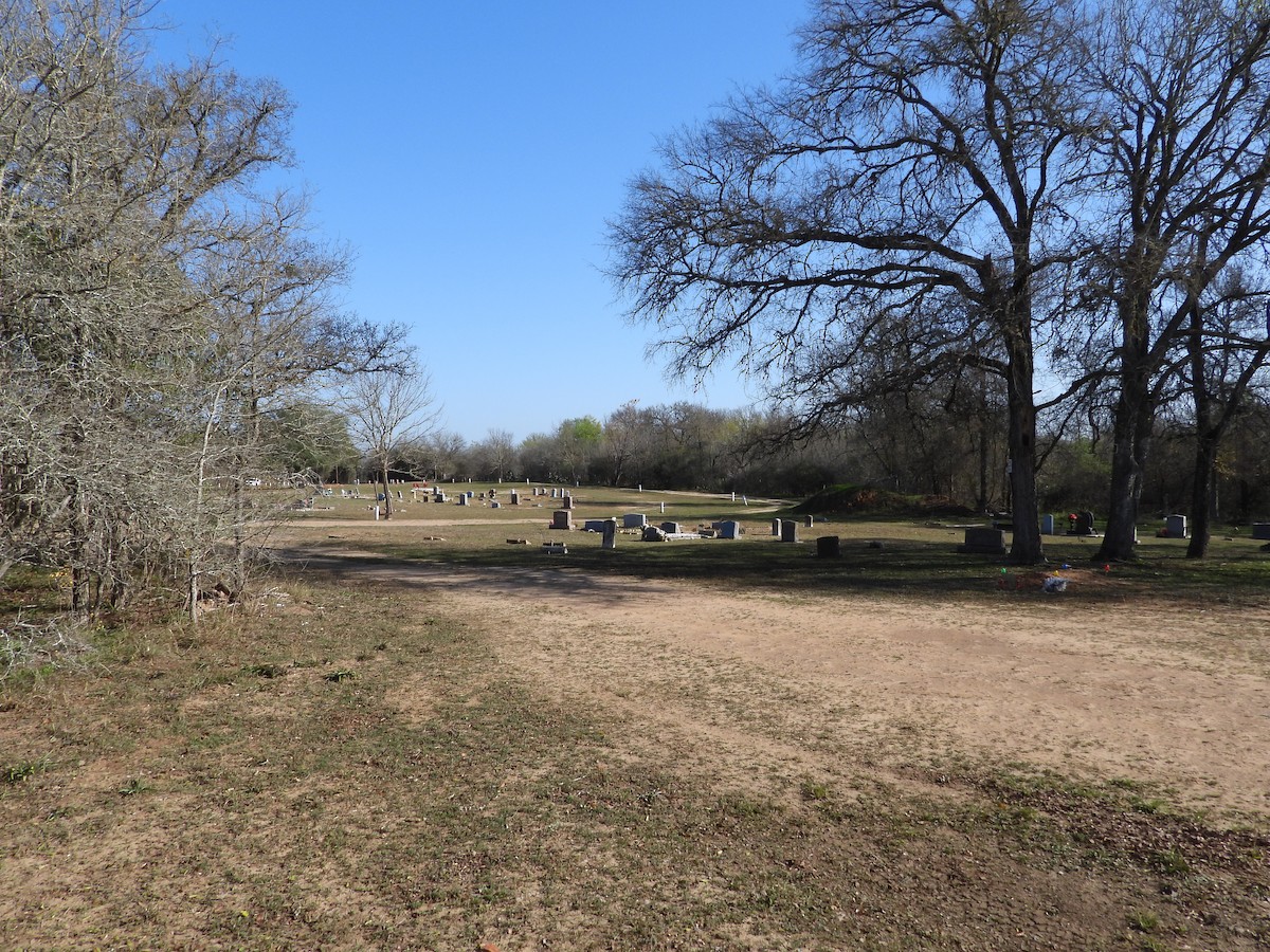 Union Chapel Cemetery, Utley - Bastrop, Texas, US - Birding Hotspots