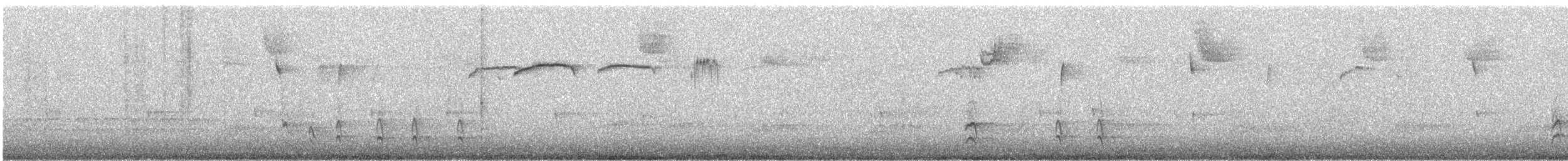 Zedernseidenschwanz - ML647552955