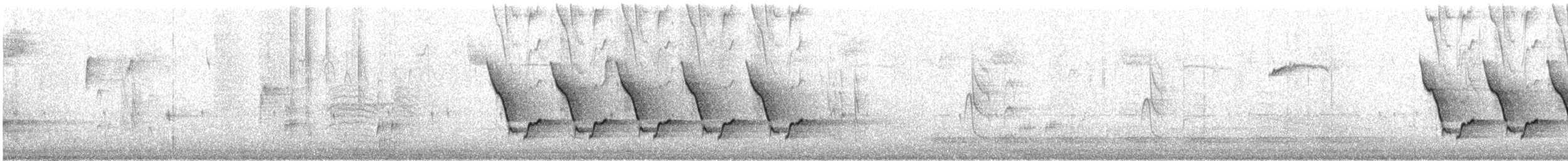 Carolinazaunkönig - ML647553037