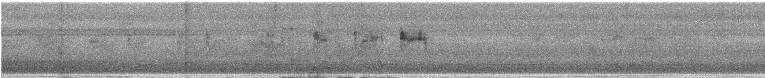 Weißnestsalangane (Malaiensalangane) - ML647553358