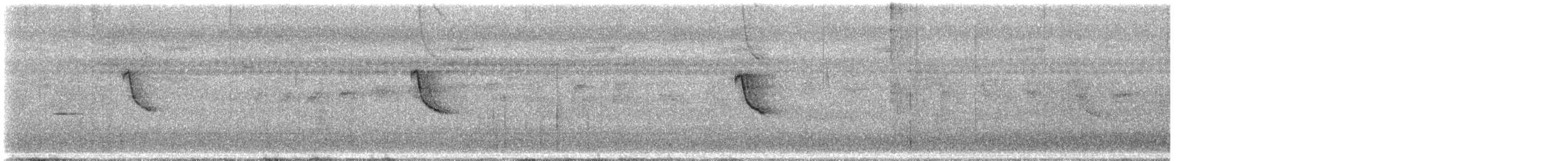 Malaienstar - ML647553370