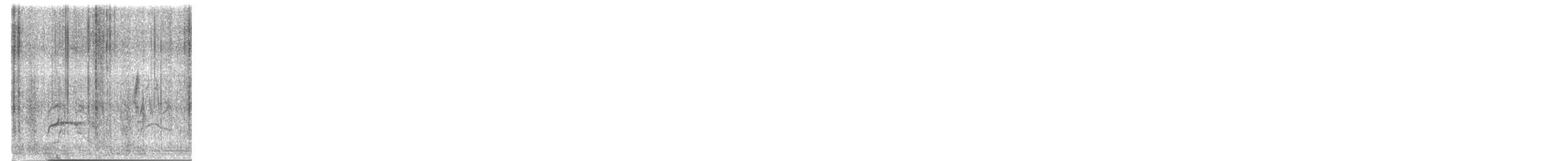 Zingira-mirotz eurasiarra - ML647553826