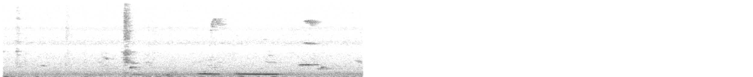 White-tipped Dove - ML647553992