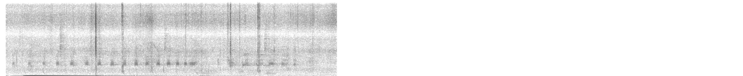 hvitbrystrikse - ML647554247