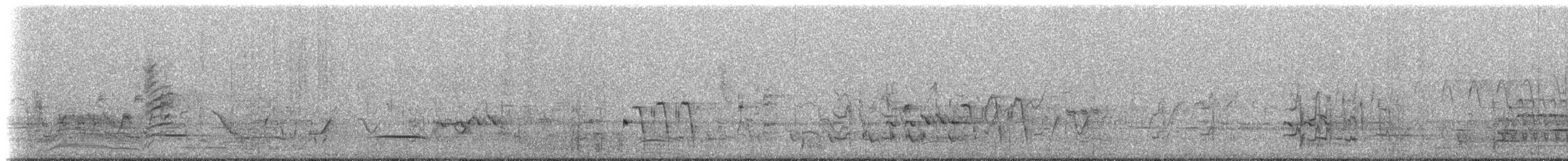 White-fronted Honeyeater - ML647554346