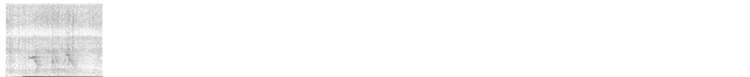 מיינה מצויה - ML647554347