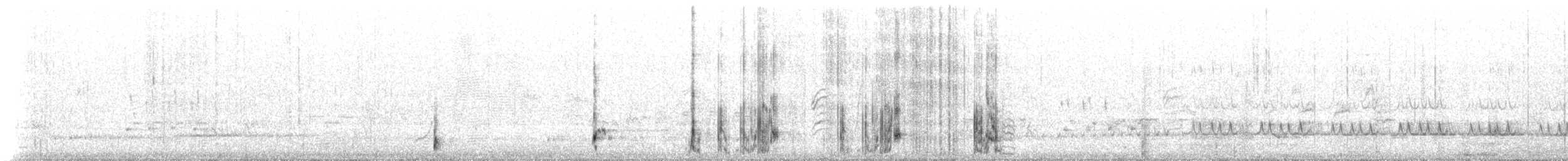 Mielero Golicanelo - ML647554393