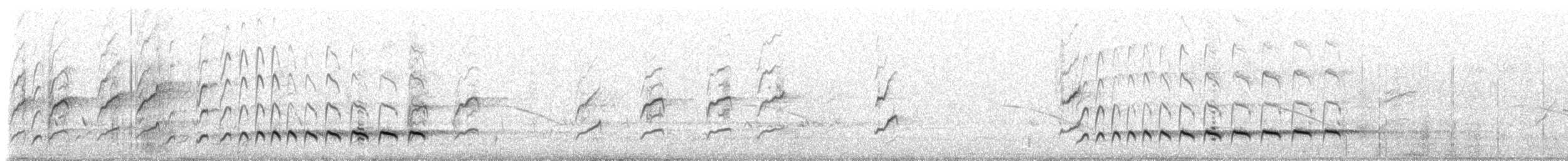 Cuco Pálido - ML647554400