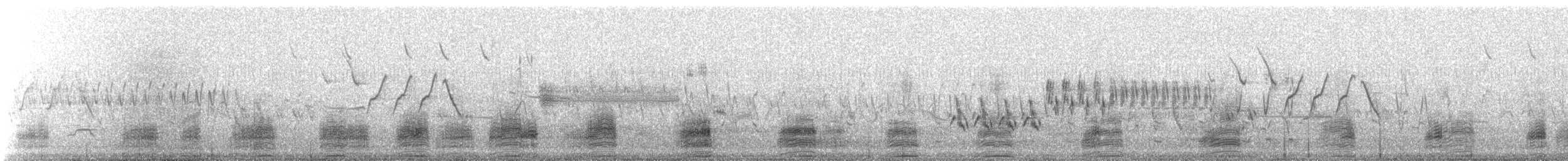 Ánade Azulón - ML647554414