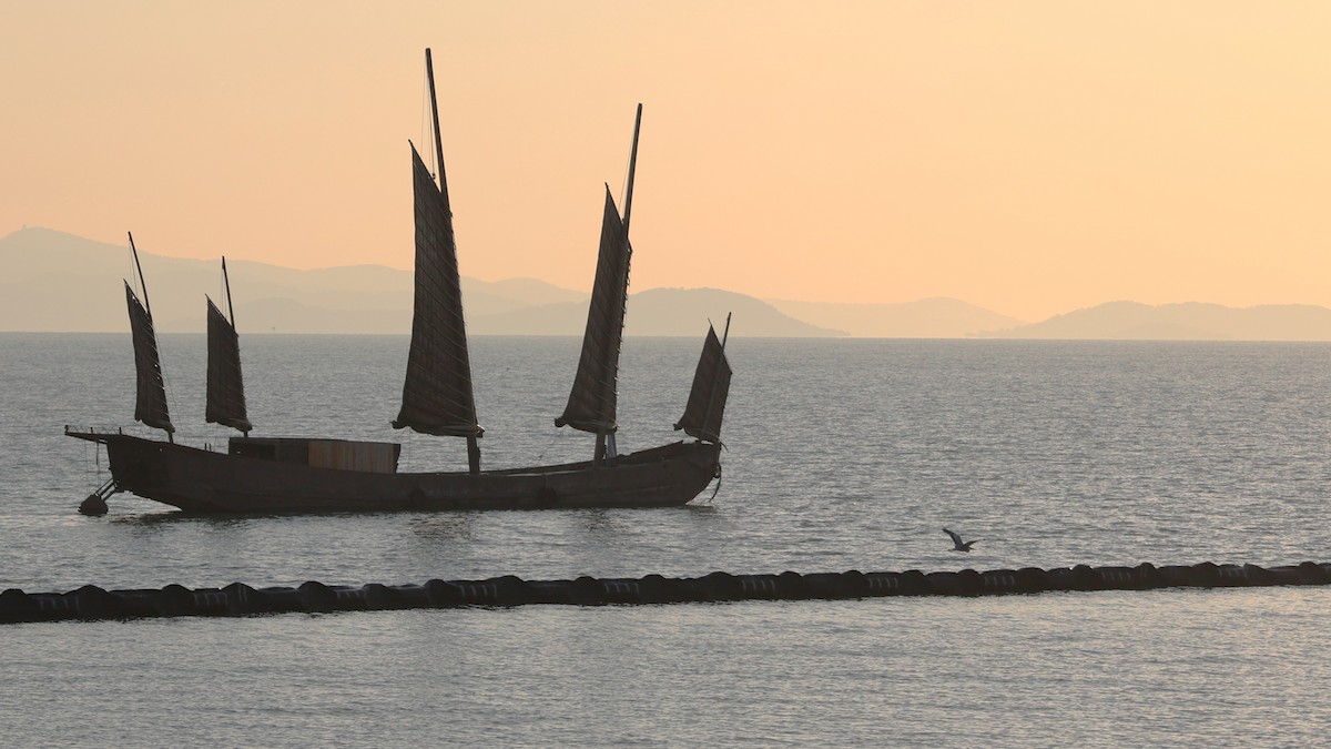 蒼鷺 - ML647554471