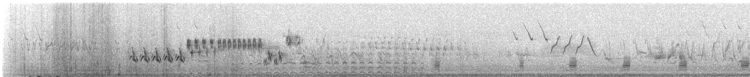 Lincoln's Sparrow - ML647554497