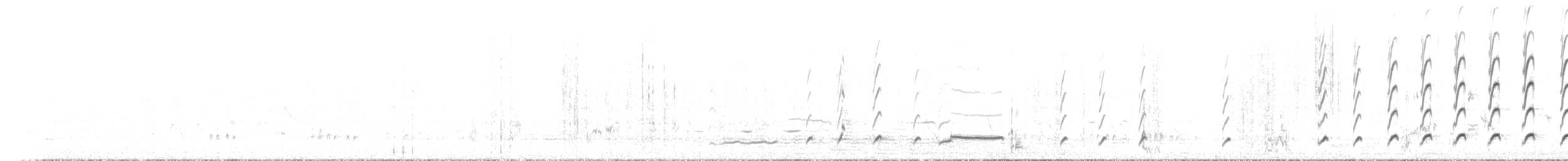 kukačka australská - ML647554498