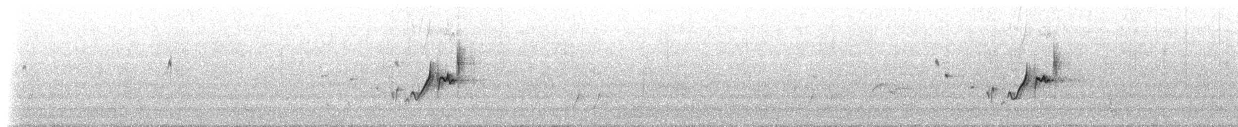 stumpnebb - ML647554510