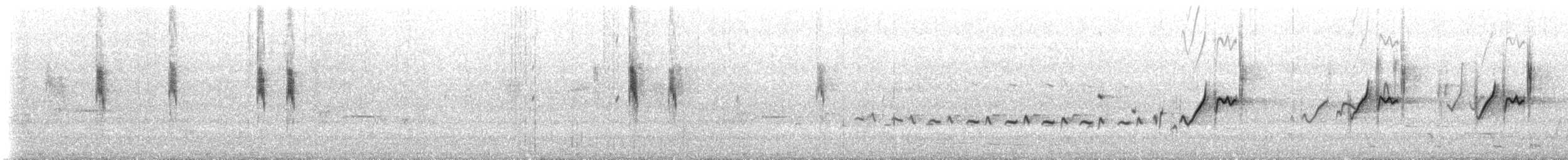 stumpnebb - ML647554512