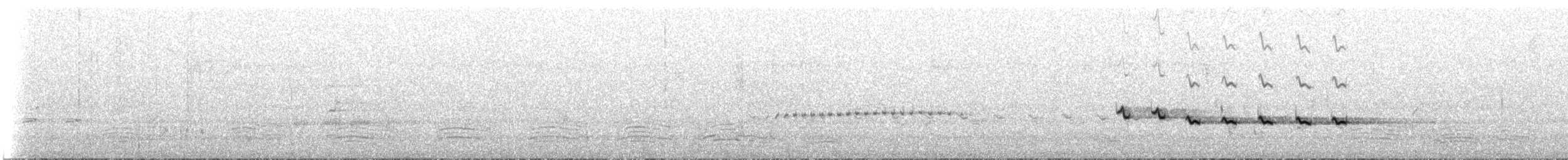 Miro enchanteur - ML647554513