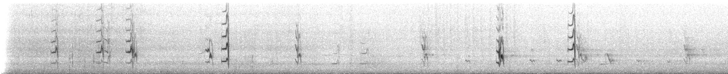 lasolet škraboškový - ML647554535