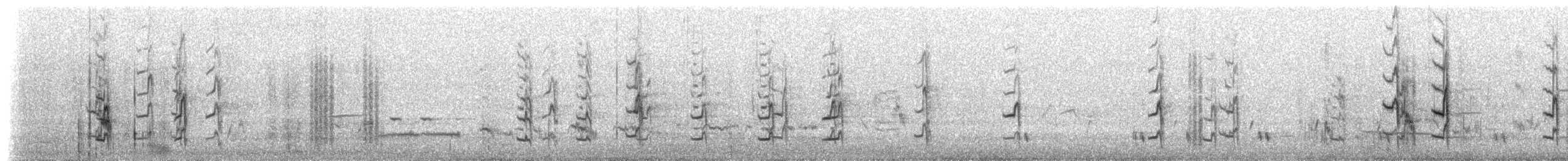 lasolet škraboškový - ML647554542