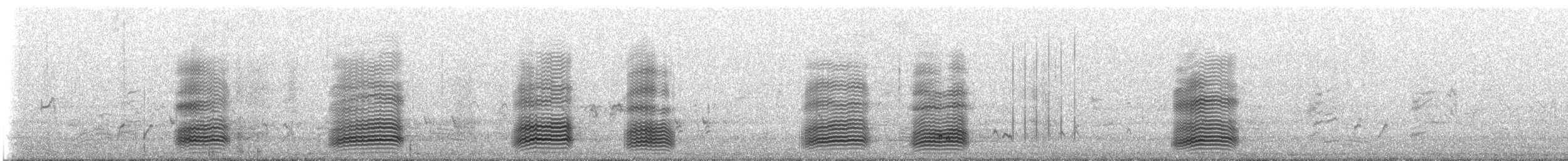 vrána menší - ML647554551