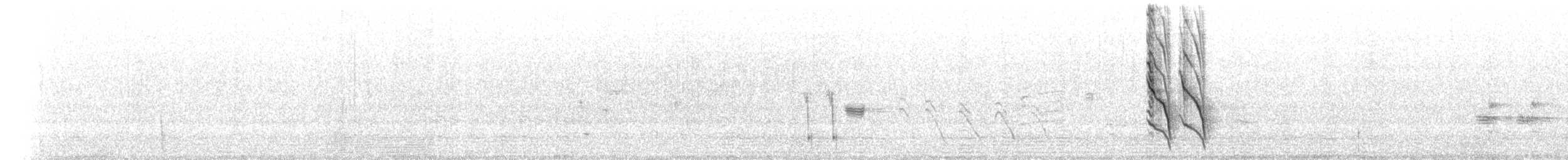 medosavka běločelá - ML647554564