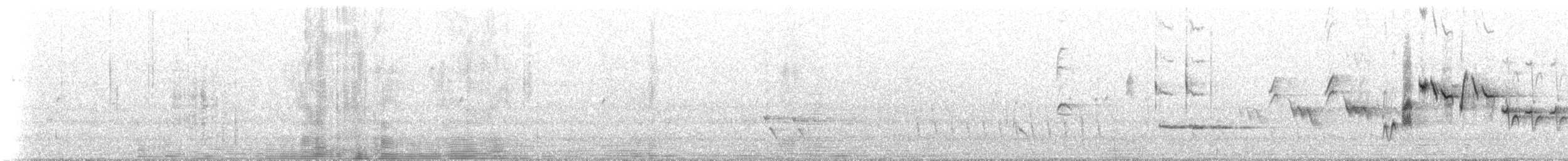 Shy Heathwren - ML647554587