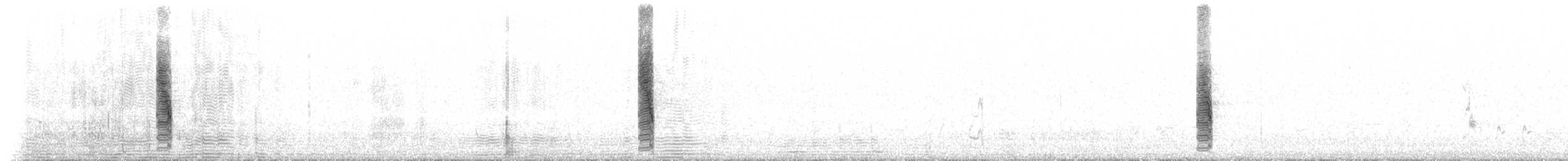 lasolet škraboškový - ML647554606