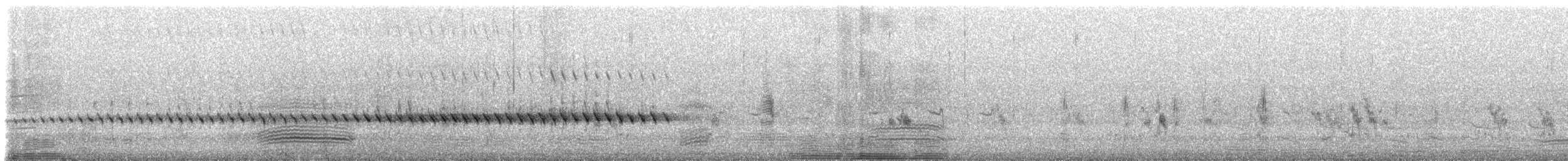 pták sp. - ML647554633