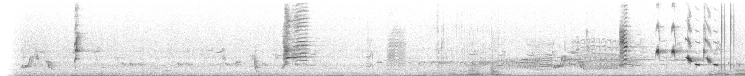 medosavka běločelá - ML647554643