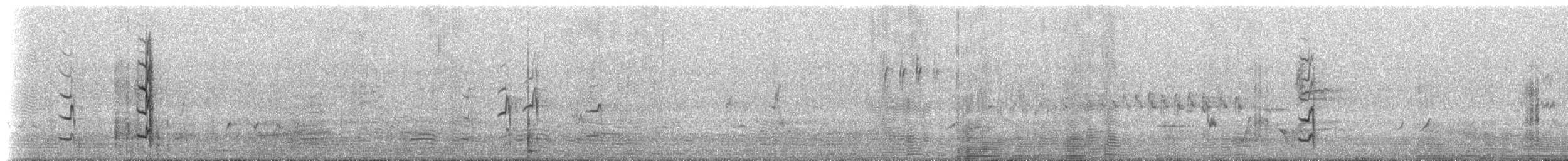 lasolet škraboškový - ML647554644