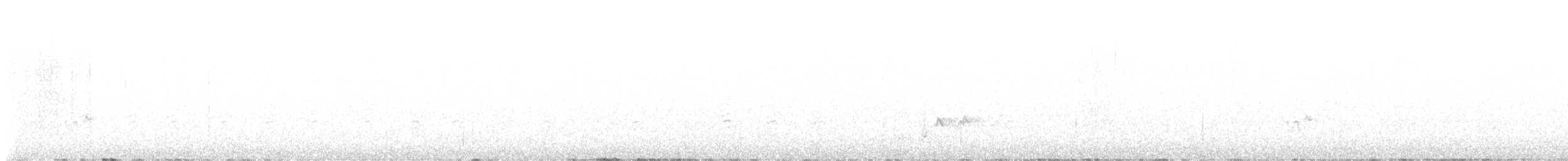 hýl křivčí - ML647554646