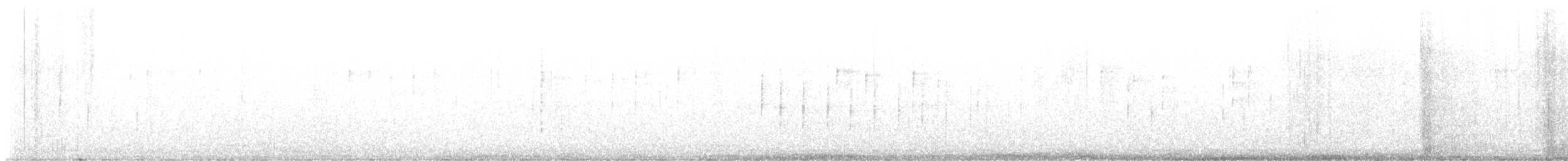 křepel kalifornský - ML647554713