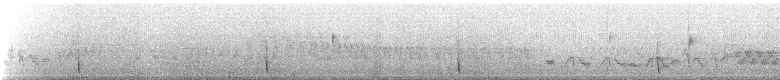 drozd pruhokřídlý - ML647555162