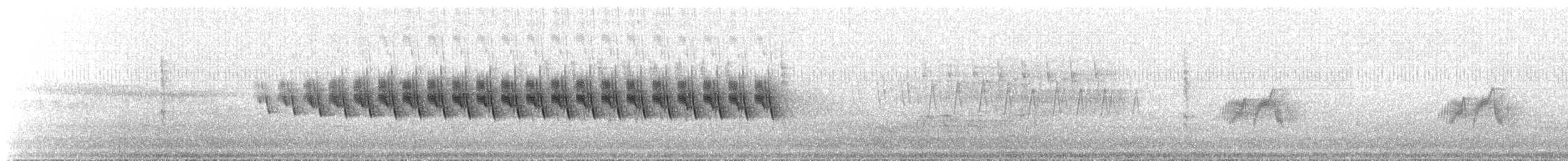 budníček severní - ML647555356