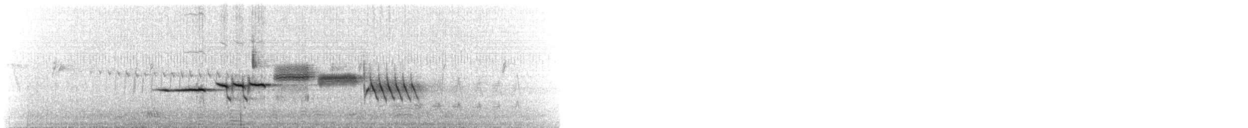 strnadec bělopásý - ML647555431