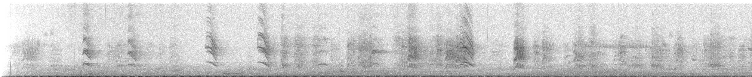 סנונית אמריקנית - ML647555868