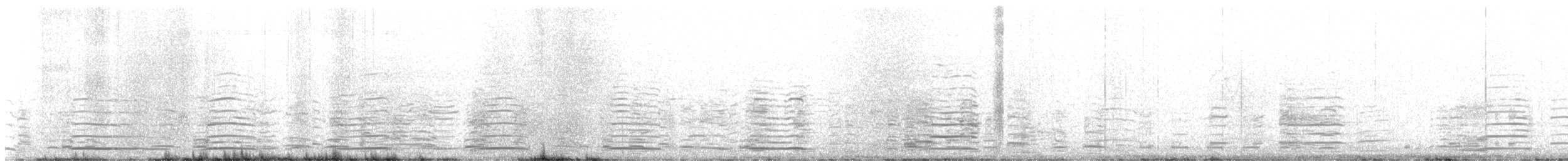 オオハクチョウ - ML647557333