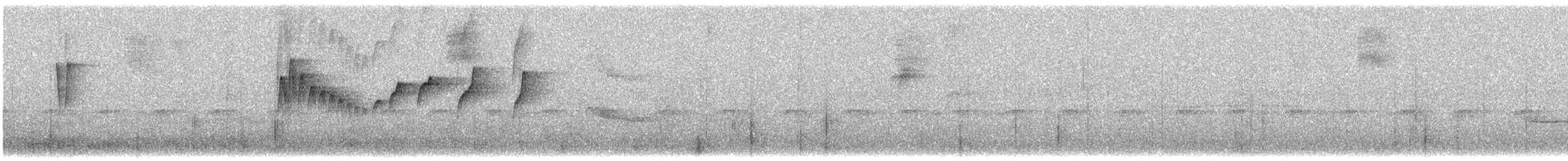 Orejerito Jaspeado - ML647558035